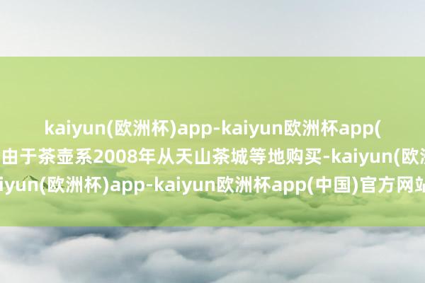 kaiyun(欧洲杯)app-kaiyun欧洲杯app(中国)官方网站-登录入口由于茶壶系2008年从天山茶城等地购买-kaiyun(欧洲杯)app-kaiyun欧洲杯app(中国)官方网站-登录入口