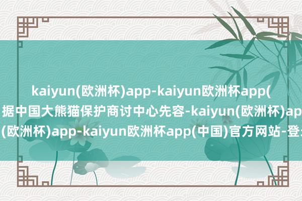 kaiyun(欧洲杯)app-kaiyun欧洲杯app(中国)官方网站-登录入口据中国大熊猫保护商讨中心先容-kaiyun(欧洲杯)app-kaiyun欧洲杯app(中国)官方网站-登录入口