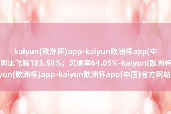 kaiyun(欧洲杯)app-kaiyun欧洲杯app(中国)官方网站-登录入口同比飞腾183.58%；欠债率64.05%-kaiyun(欧洲杯)app-kaiyun欧洲杯app(中国)官方网站-登录入口