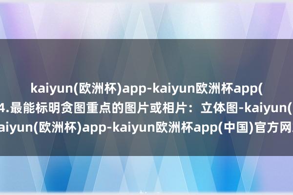 kaiyun(欧洲杯)app-kaiyun欧洲杯app(中国)官方网站-登录入口4.最能标明贪图重点的图片或相片：立体图-kaiyun(欧洲杯)app-kaiyun欧洲杯app(中国)官方网站-登录入口