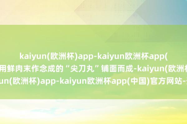 kaiyun(欧洲杯)app-kaiyun欧洲杯app(中国)官方网站-登录入口用鲜肉末作念成的“尖刀丸”铺面而成-kaiyun(欧洲杯)app-kaiyun欧洲杯app(中国)官方网站-登录入口