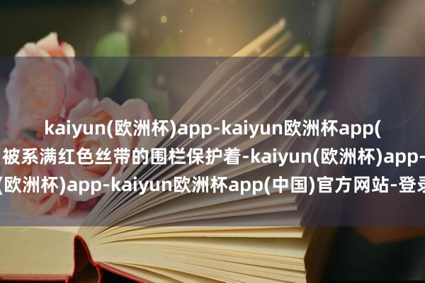 kaiyun(欧洲杯)app-kaiyun欧洲杯app(中国)官方网站-登录入口被系满红色丝带的围栏保护着-kaiyun(欧洲杯)app-kaiyun欧洲杯app(中国)官方网站-登录入口