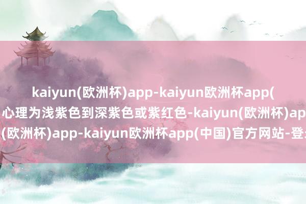 kaiyun(欧洲杯)app-kaiyun欧洲杯app(中国)官方网站-登录入口心理为浅紫色到深紫色或紫红色-kaiyun(欧洲杯)app-kaiyun欧洲杯app(中国)官方网站-登录入口